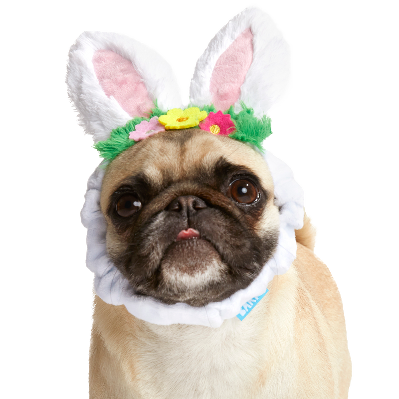 Hare Club Plush Wearable Dog Toy