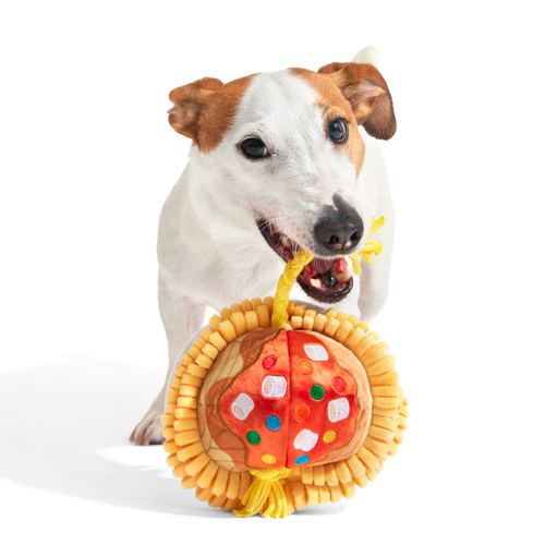 Candy Squeakghetti Plush Tug Dog Toy