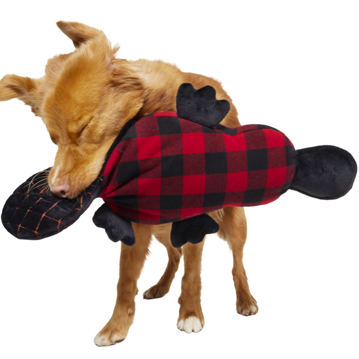 Plaidypus Plush XXL Tug Dog Toy