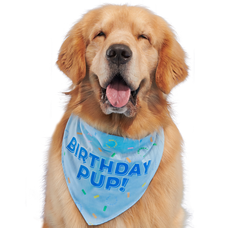 Birthday Dog Bandana