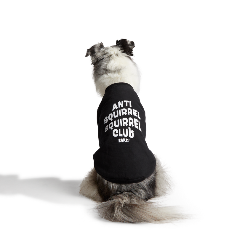 Anti-Squirrel Squirrel Club Dog Sweatshirt
