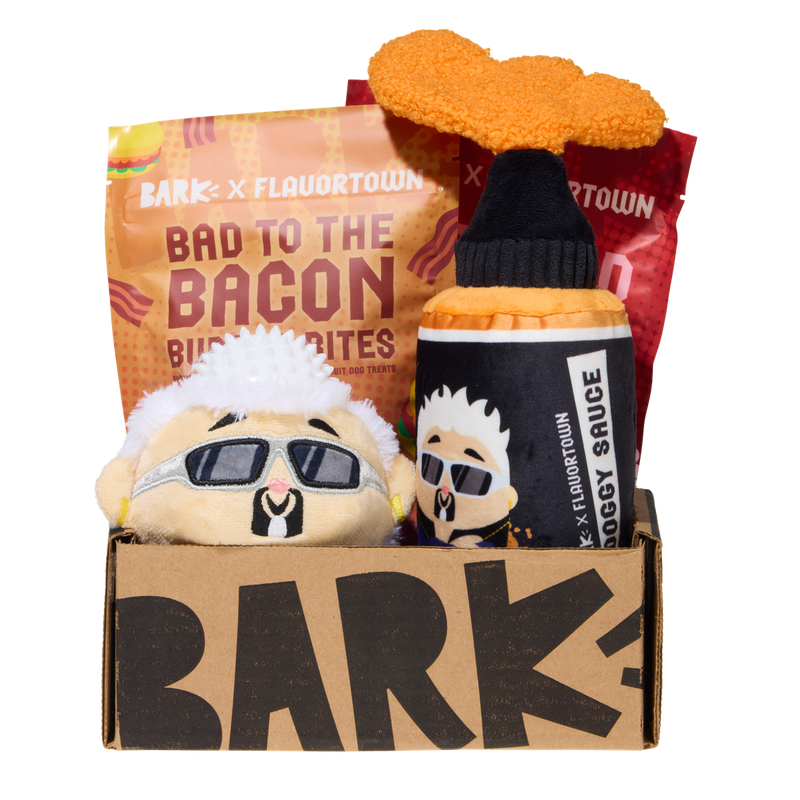 BARK 12 Month Subscription - Guy Fieri Flavortown Double Deluxe First Box