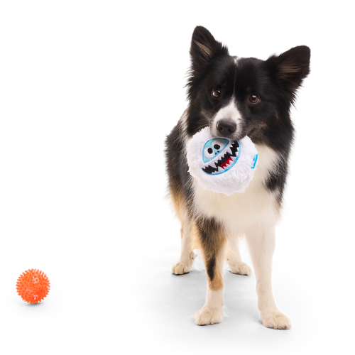 Bumble™ Bounce Plush 2-in-1 Rip and Reveal Dog Toy