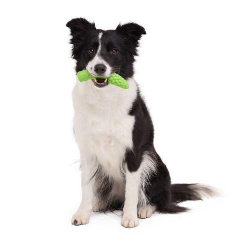 Aspupagus Super Chewer Durable Gnaw Toy