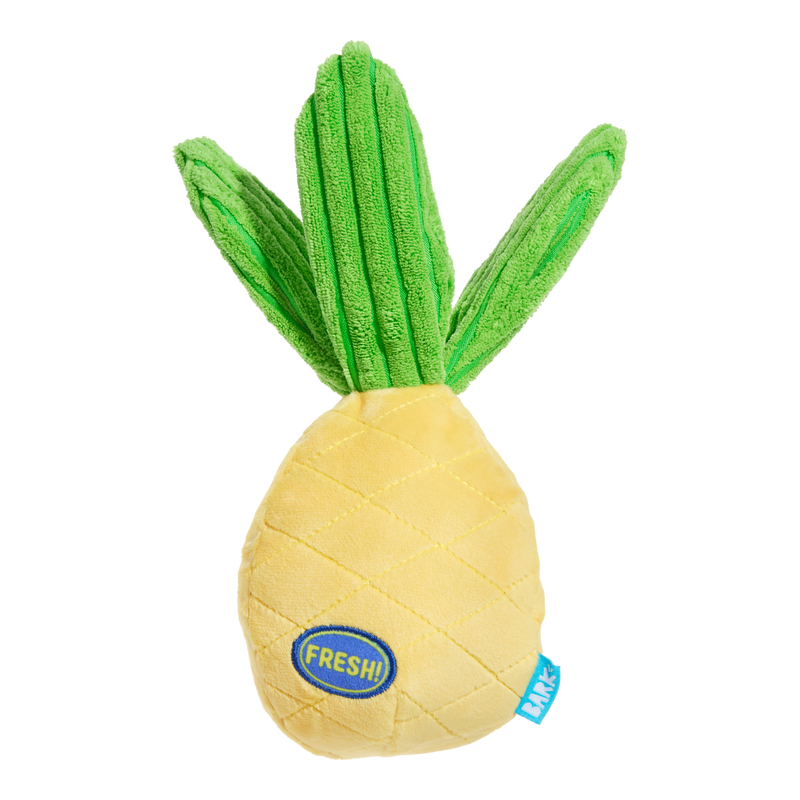 Spiky Pineyapple Plush Tug Dog Toy