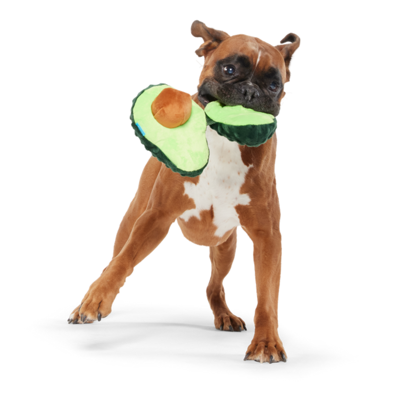 Arfocado Plush Enrichment + Tug Dog Toy