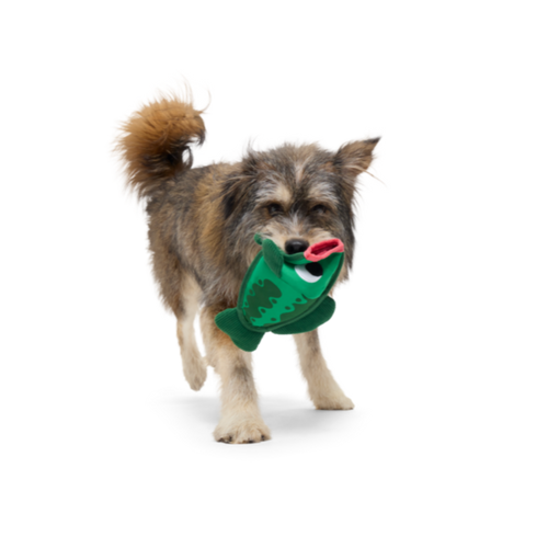 Big Squeak Bass Plush Tug + Enrichment Dog Toy
