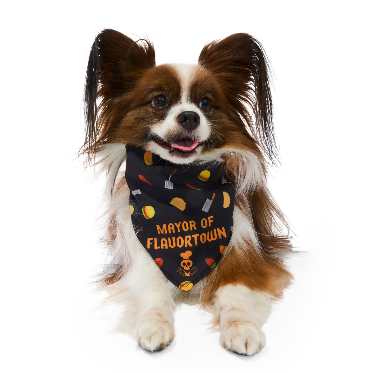 Flavortown™ Dog Bandana