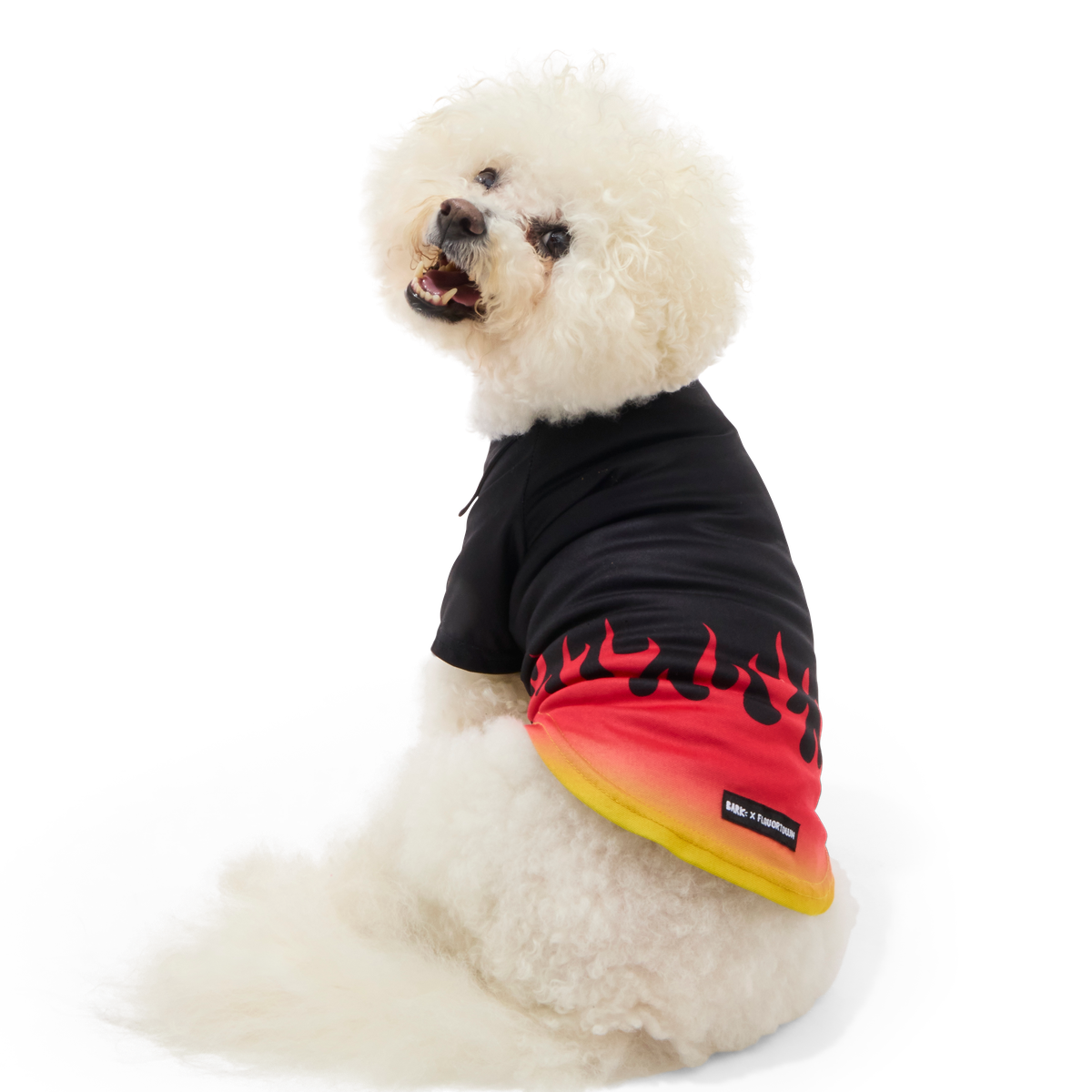 Flame Broiled Button-Down Dog Shirt