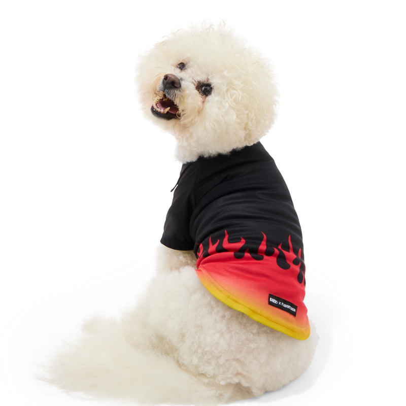 Flame Broiled Button-Down Dog Shirt