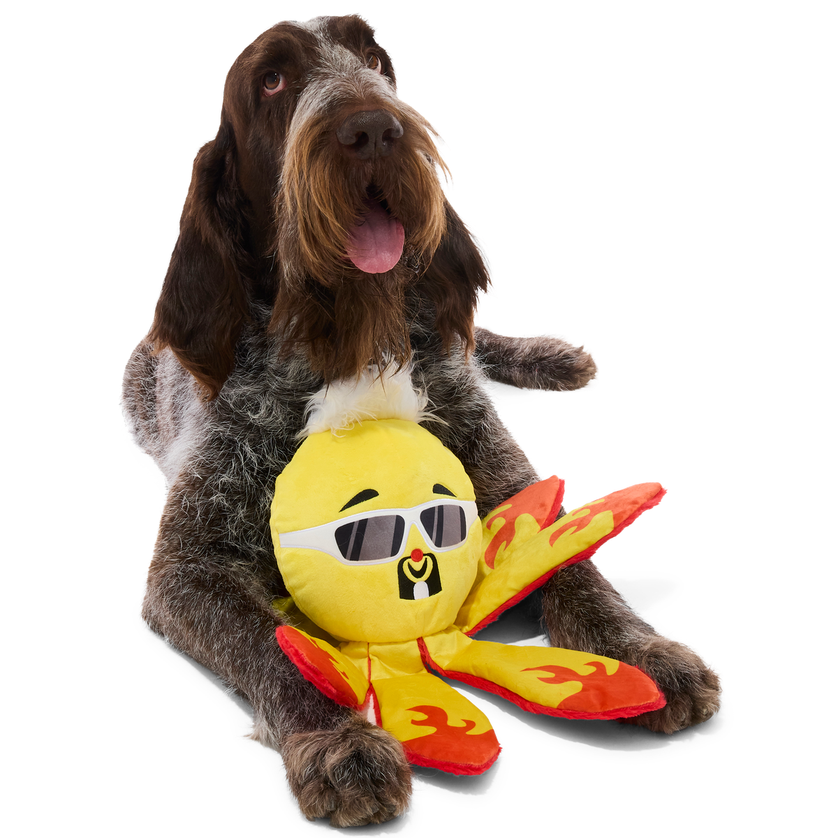 Off The Hook Ollie Plush Extra-Large + Tug Dog Toy