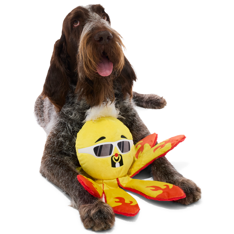 Off The Hook Ollie Plush Extra-Large + Tug Dog Toy
