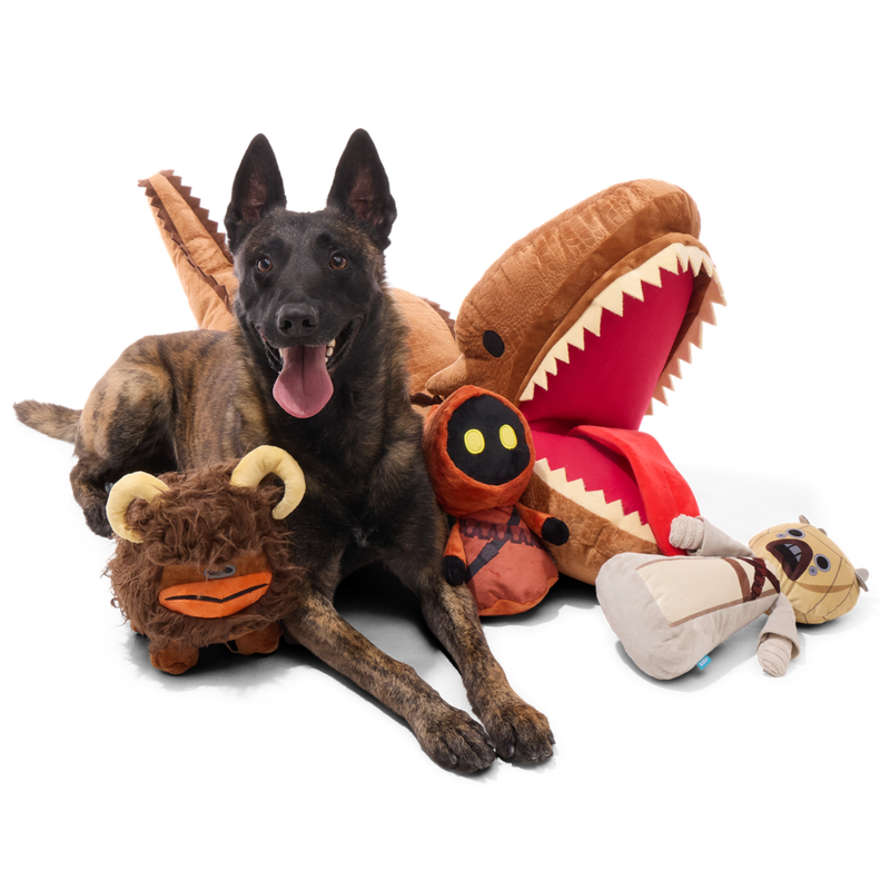 Krayt Dragon™ Plush XXXL Multi-Part + Enrichment Dog Toy