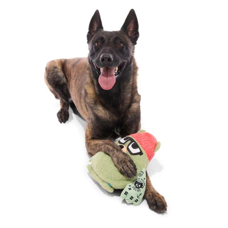 Bearista Plush Extra-Large + Tug Dog Toy