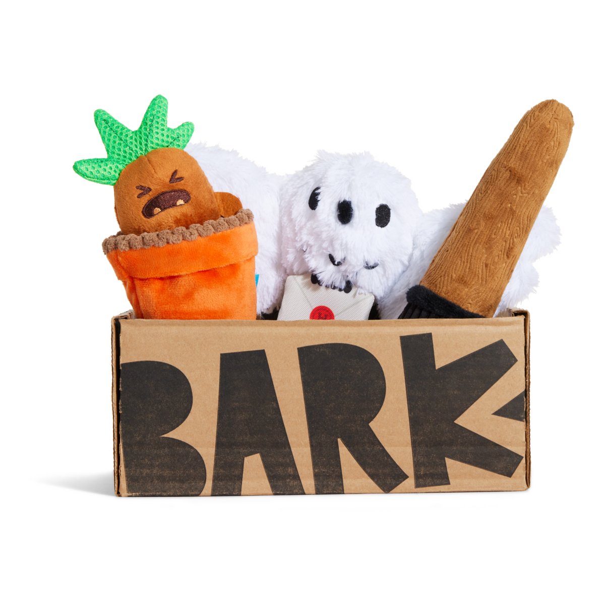 HARRY POTTER™ BarkBox - One Month Gift Box