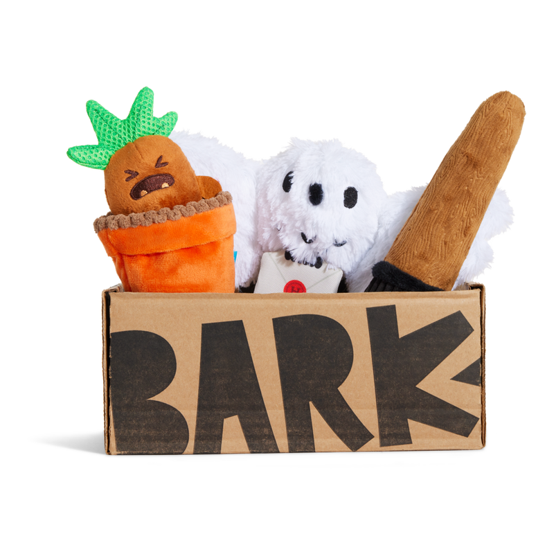 HARRY POTTER™ BarkBox - One Month Gift Box