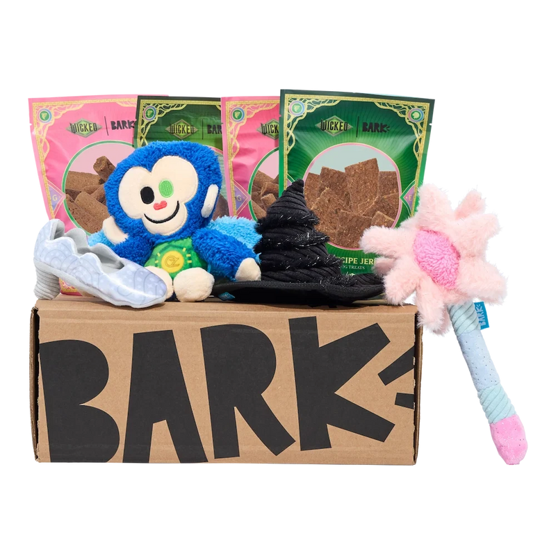 BARK 12 Month Subscription - Wicked Double Deluxe First Box