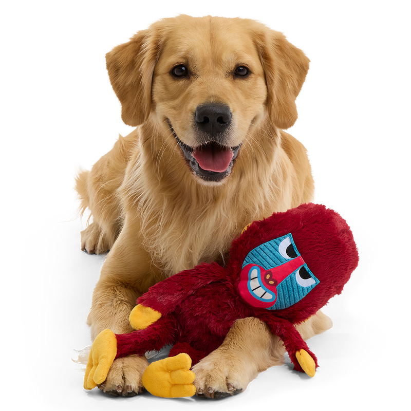 Babu Baboon Plush Extra-Large + Tug Dog Toy