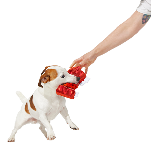 Baby Bark Ribs Plush Tug Dog Toy