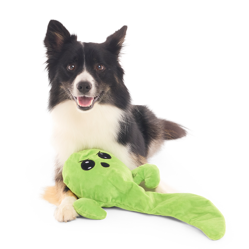 Balltergeist Plush Extra-Large + Tug Dog Toy