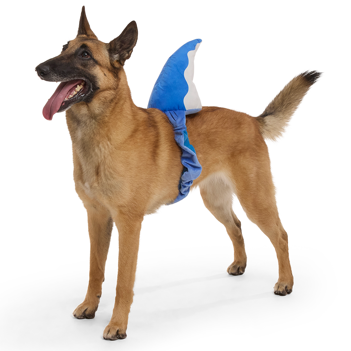 Bark Fin Plush Tug + Wearable Dog Toy