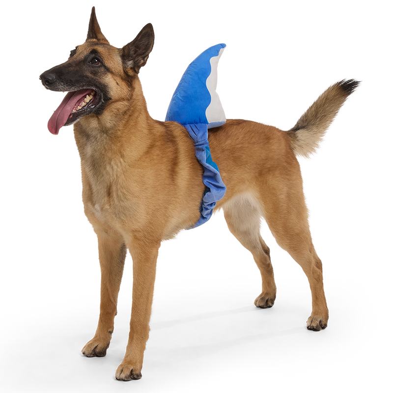 Bark Fin Plush Tug + Wearable Dog Toy