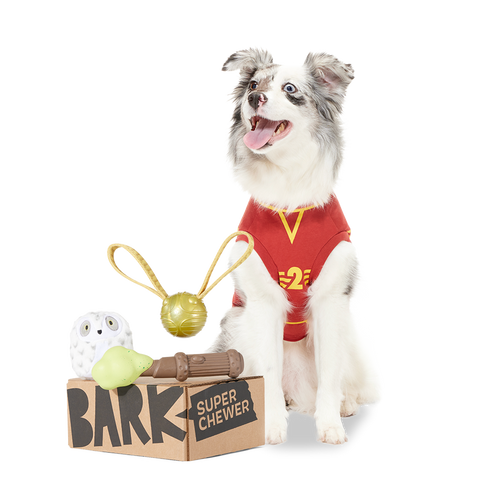 BARK 12 Month Subscription - Harry Potter First Box