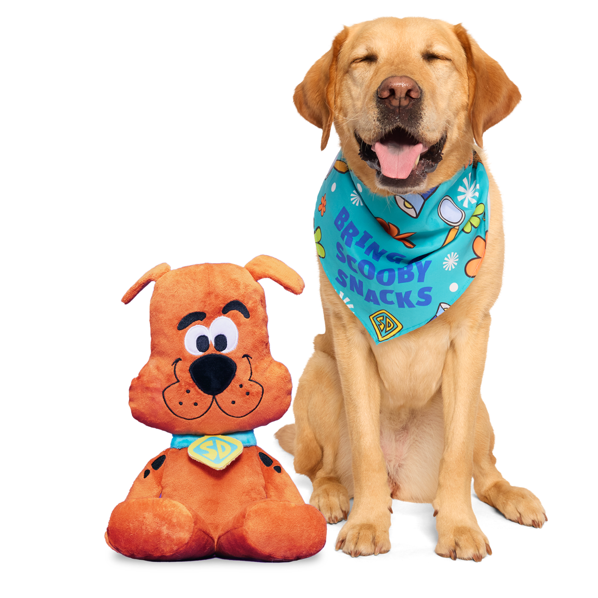 Scooby-Doo™ Bundle