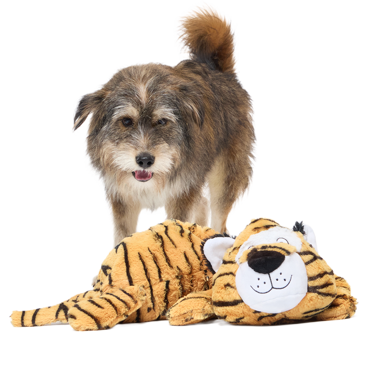 Benji the Bouncing Tiger Plush Extra-Large + Tug Dog Toy