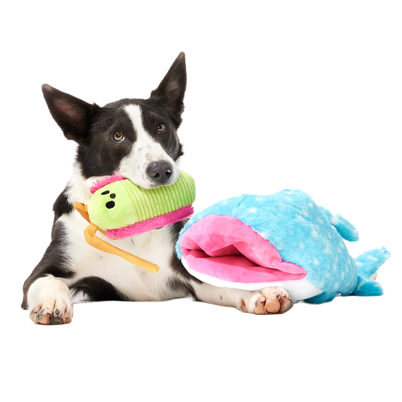Big Mark The Whale Shark Plush Extra Large + Multi-Part Dog Toy