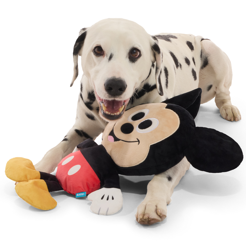 Biggest Pal Mickey Plush Extra-Large + Tug Dog Toy