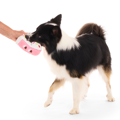 Birthday Kate Plush Tug Dog Toy