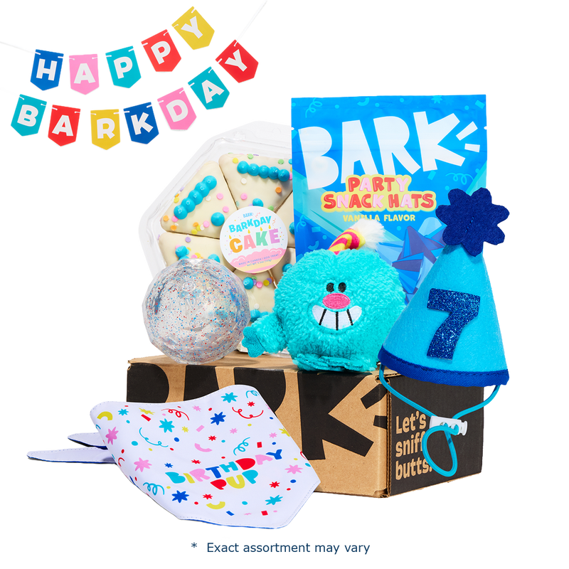 Birthday Super Chewer Gift Box