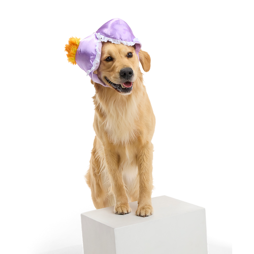 Bite the Patriarchy Plush Tug Dog Toy