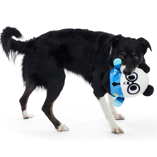 Boarding Panda Plush 2-in-1 Dog Toy