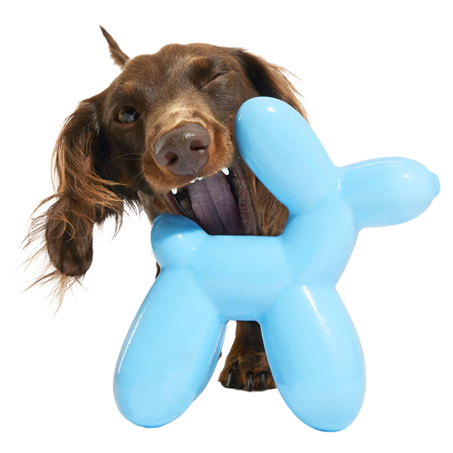 Bob the Balloon Super Chewer Durable Gnaw Dog Toy