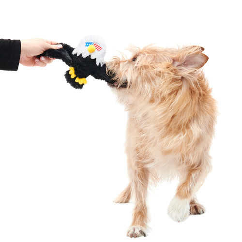 Bold Eagle Plush Tug Dog Toy