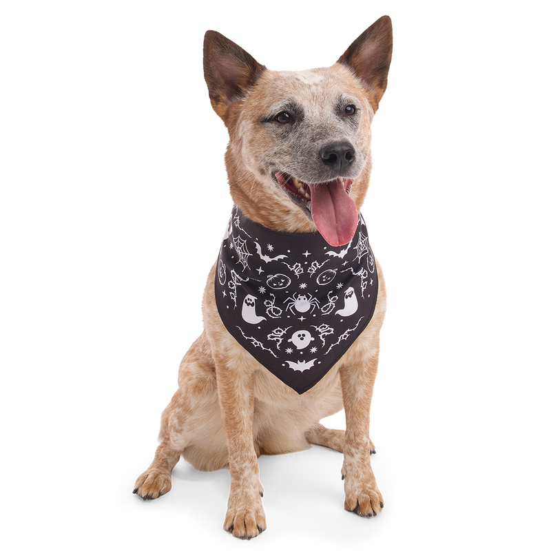 Boo Dog Bandana