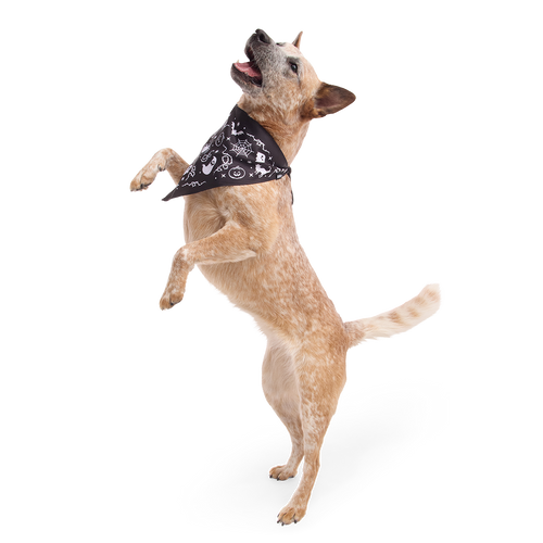 Boo Dog Bandana