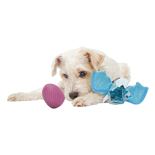 Brrrtha The Dragon Super Chewer Durable 2-in-1 + Tug + Fetch Dog Toy