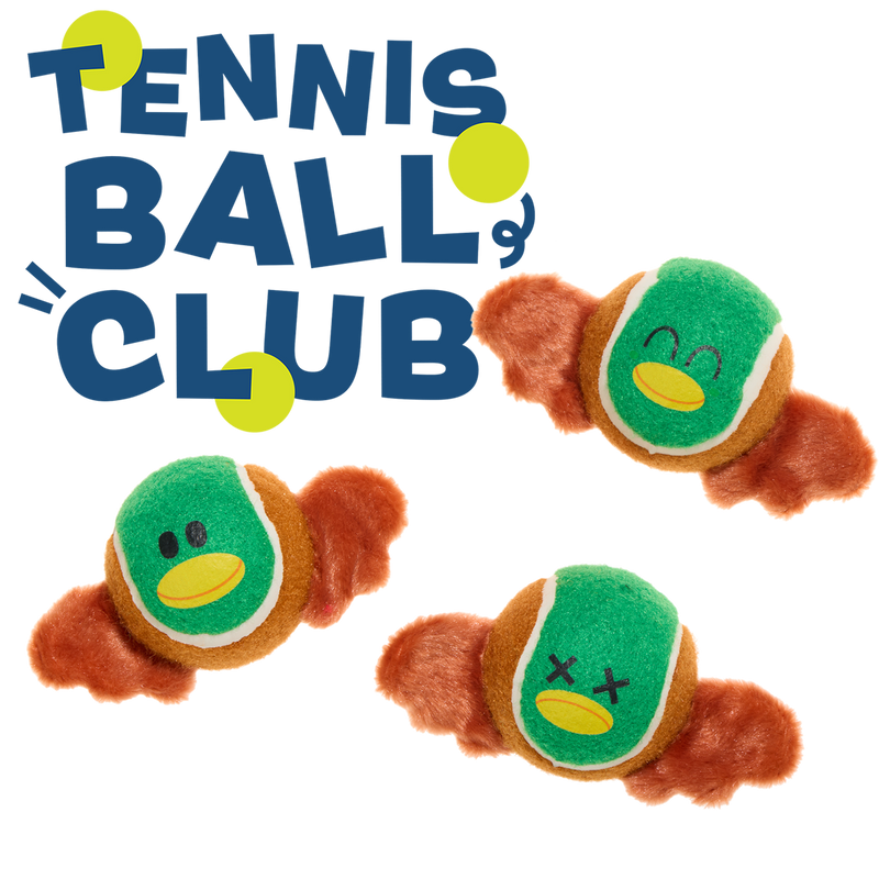 Tennis Ball Club, 3 Squeaky Monthly Tennis Ball Dog Toys