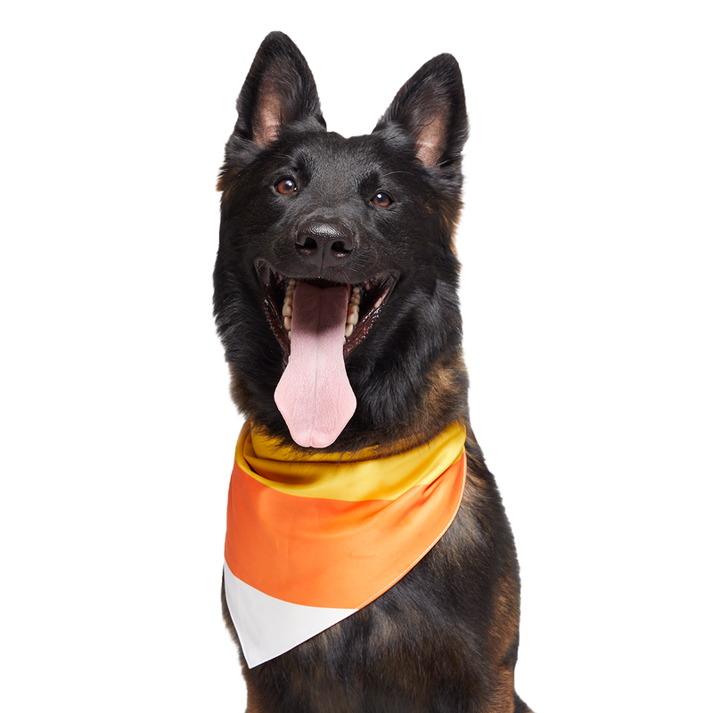 Candy Corn Dog Bandana