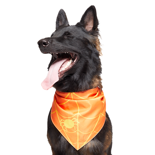 Candy Corn Dog Bandana