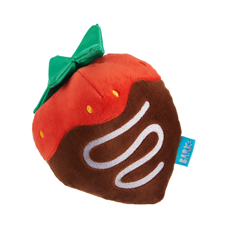 Chocolate Slobber Strawberry Plush Fetch Dog Toy