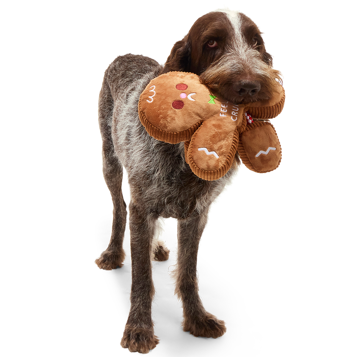 The Crumbum King Plush Extra-Large + Tug Dog Toy