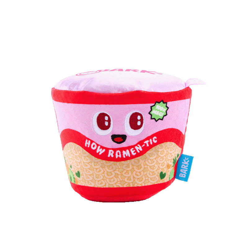 Cup of Canoodles Plush 2-in-1 Dog Toy