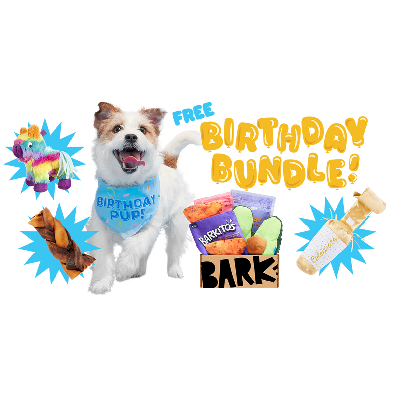 BarkBox Birthday Bundle