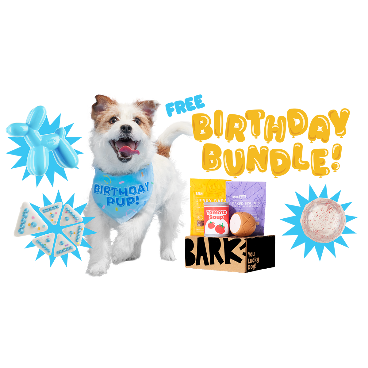 Super Chewer Birthday Bundle