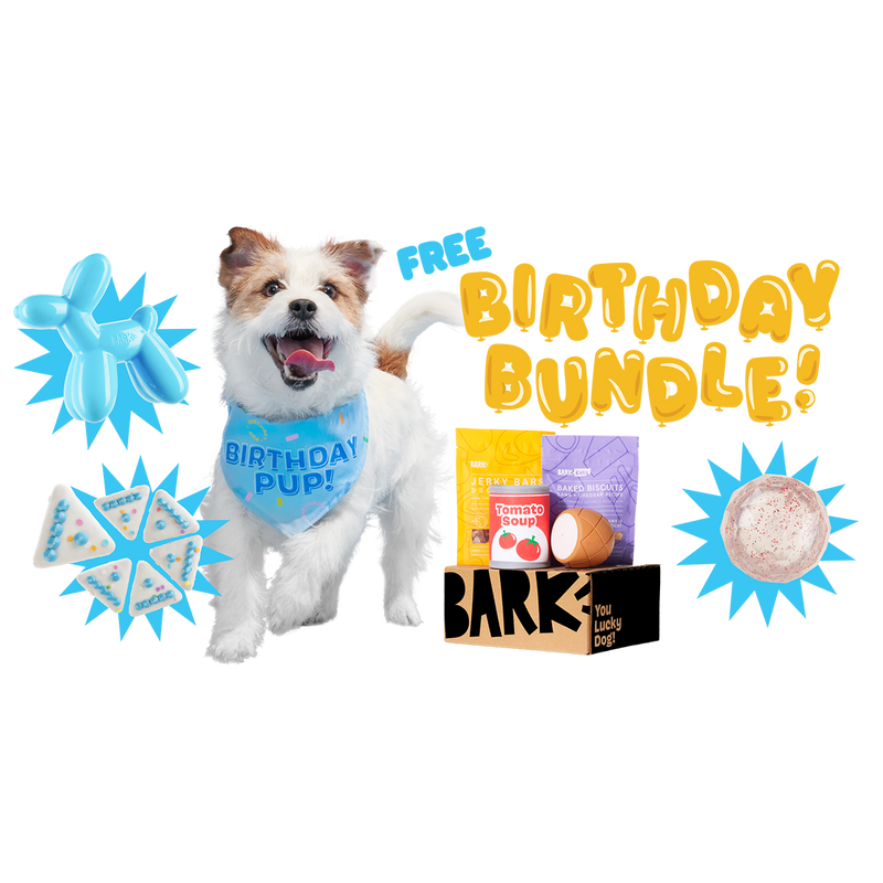 Super Chewer Birthday Bundle