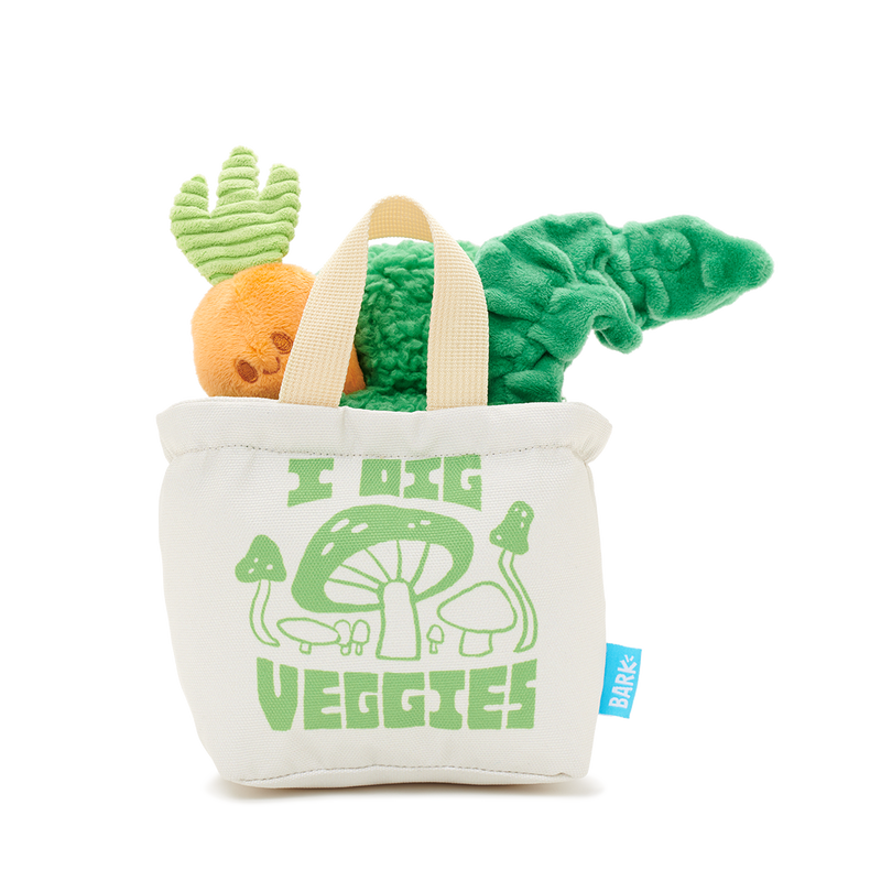 Dig These Veggies Plush Tug + Enrichment Dog Toy